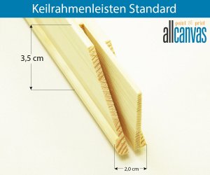 Keilrahmenleisten Standard  Rahmenstärke 20x35 mm